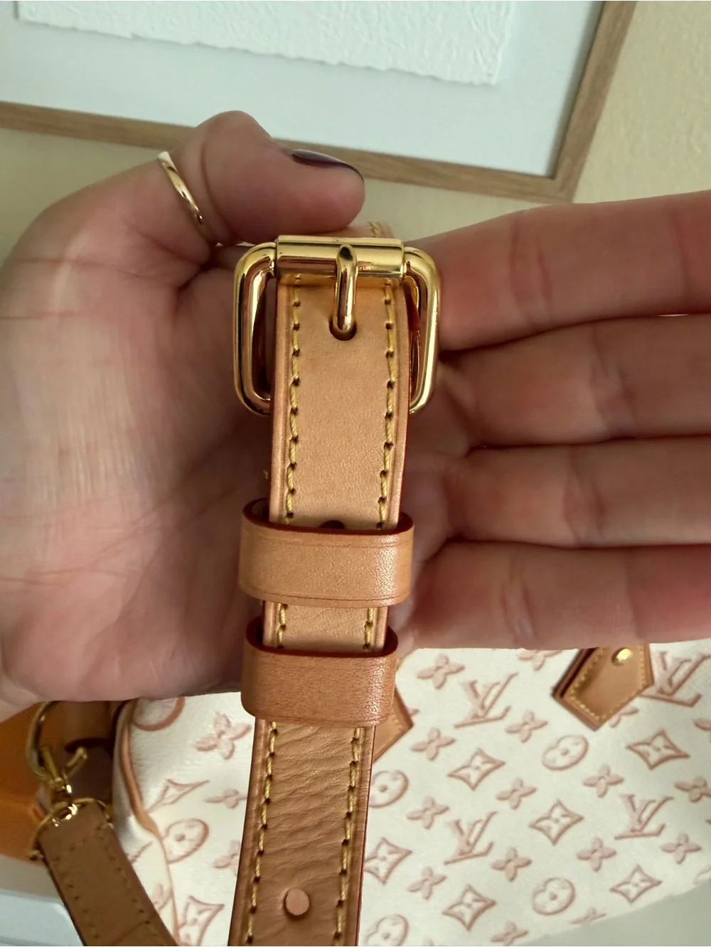 Louis Vuitton speedy Bandoulière 25  Discontinued color and model